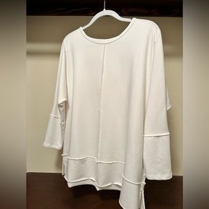 Never worn Spanx Top.  Tried it on needed another size so I put it on Poshmark!